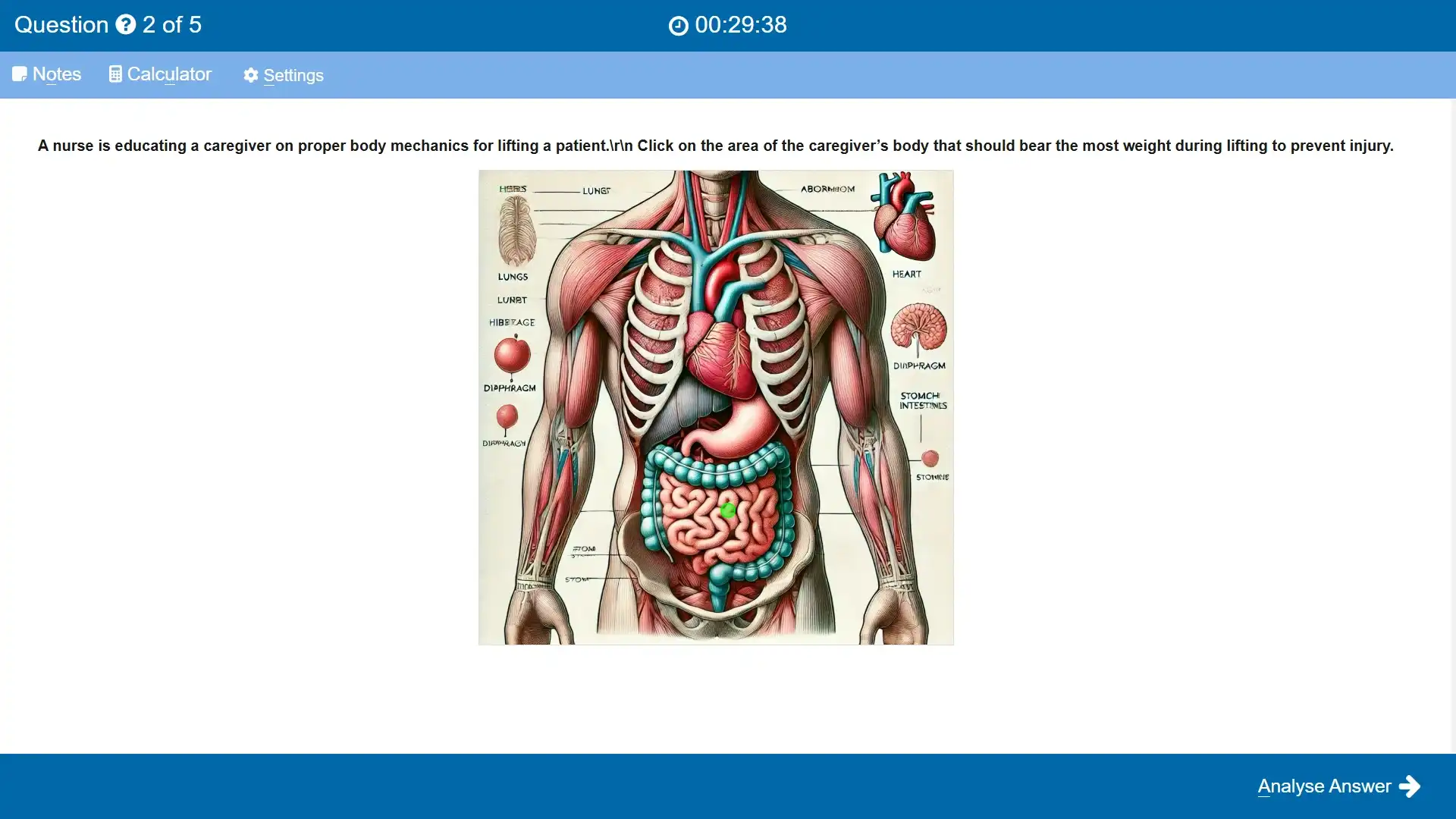 Nclex Free Mock Test